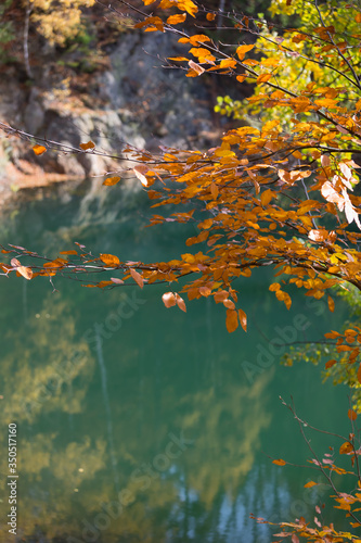 Fototapeta Naklejka Na Ścianę i Meble -  Jezioro Turkusowe, błękitne jeziorko, widok poprzez jesienne liście, Kolorowe Jeziorka w Rudawach Janowickich, Polska