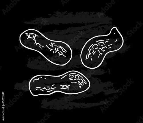 White peanut images isolated on black chalkboard background. Ink sketch of nuts. Hand drawn vector illustration.