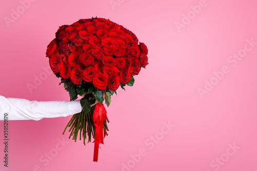 Fototapeta Naklejka Na Ścianę i Meble -  Photo of cropped man arm hold big one hundred red bright roses bunch giving girlfriend surprise not show face secret admirer arrangement delivery concept isolated pink color background