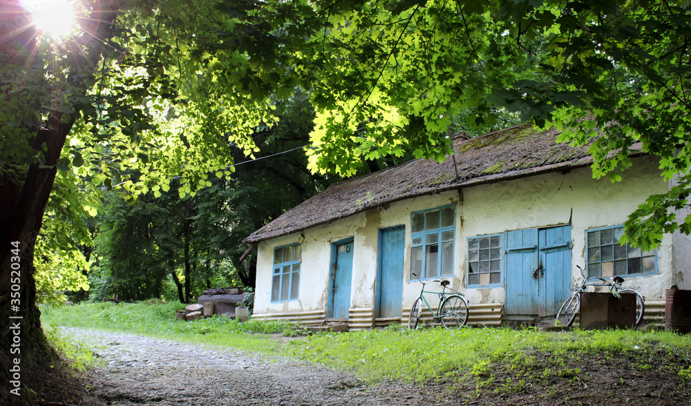 old house in the woods old house in the woods