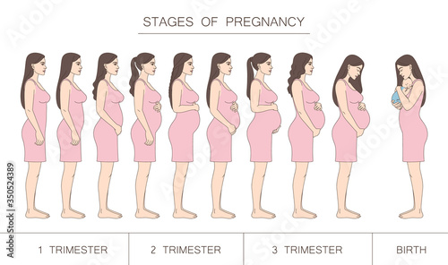 Stages of pregnancy, trimester and birth. Silhouette of a pregnant woman in profile. Brunette woman.