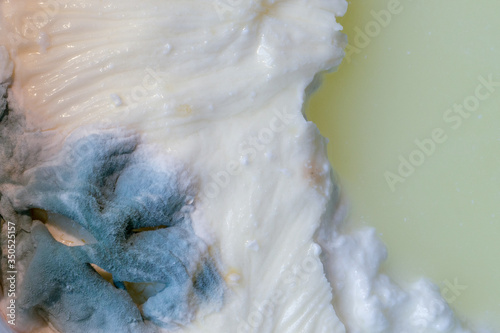 Makro close up of isolated moldy Turkish yoghurt cup with green mold fungi on surface exceeded expiry date (Focus on the right). photo