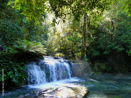 Fototapeta Naklejka Na Ścianę i Meble -  Beautiful waterfall in a rainforest