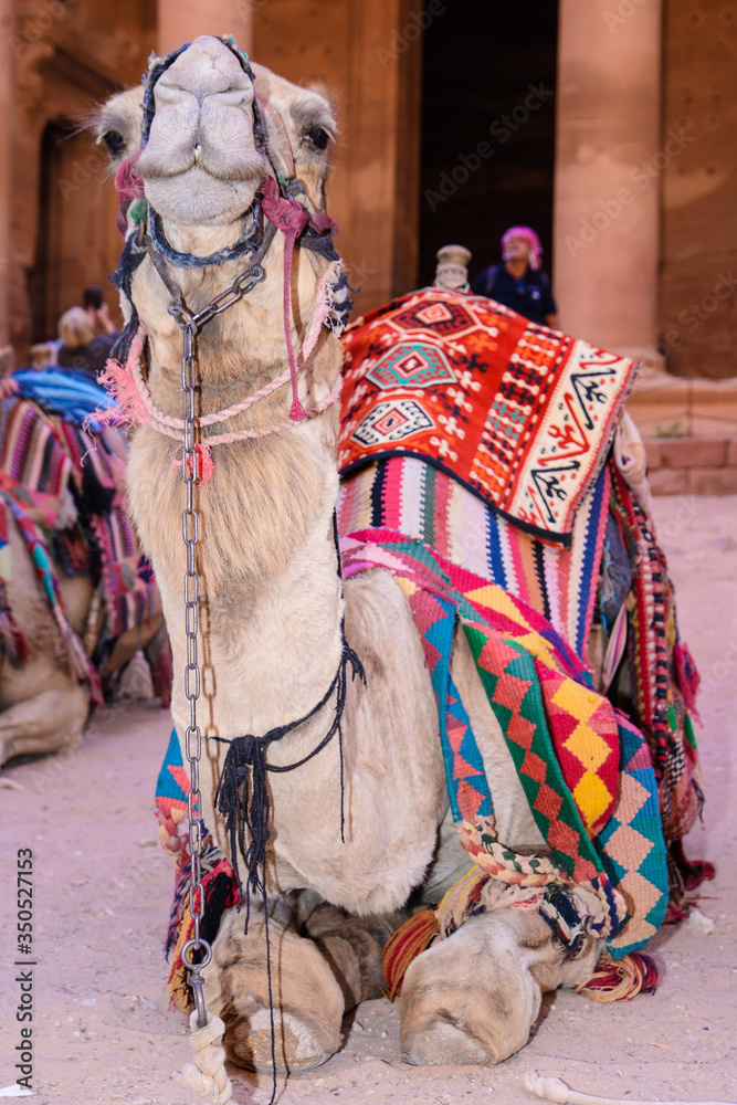 Petra is a big Palace Tomb and the main attraction of Jordan. Petra is included in the UNESCO heritage list.
There are Bedouin houses at historical site of Petra, next to the Nabatean theatre, in the 