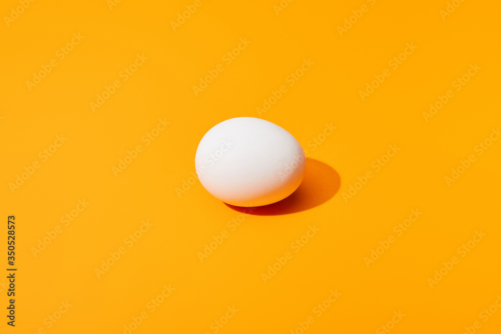fresh white chicken egg on orange colorful background