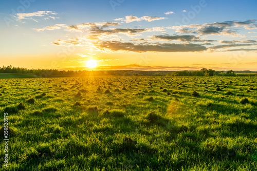 Scenic view at beautiful spring sunset in a green shiny field with green grass and golden sun rays, deep blue cloudy sky , trees and © Yaroslav