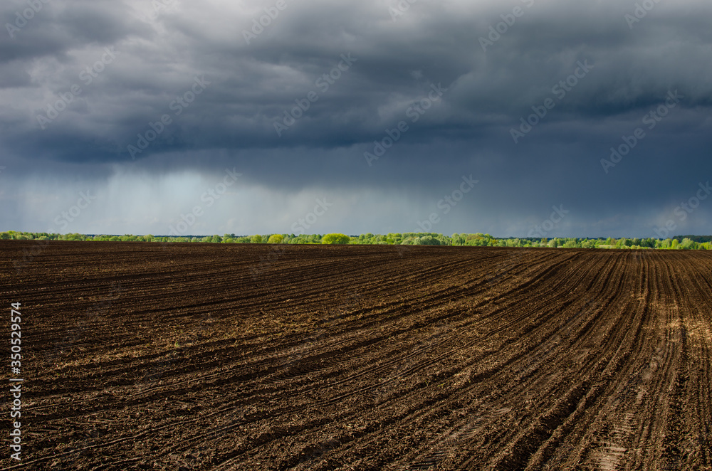 Stormy sky over wheat field, nature landscape. Plowed field and rainy sky