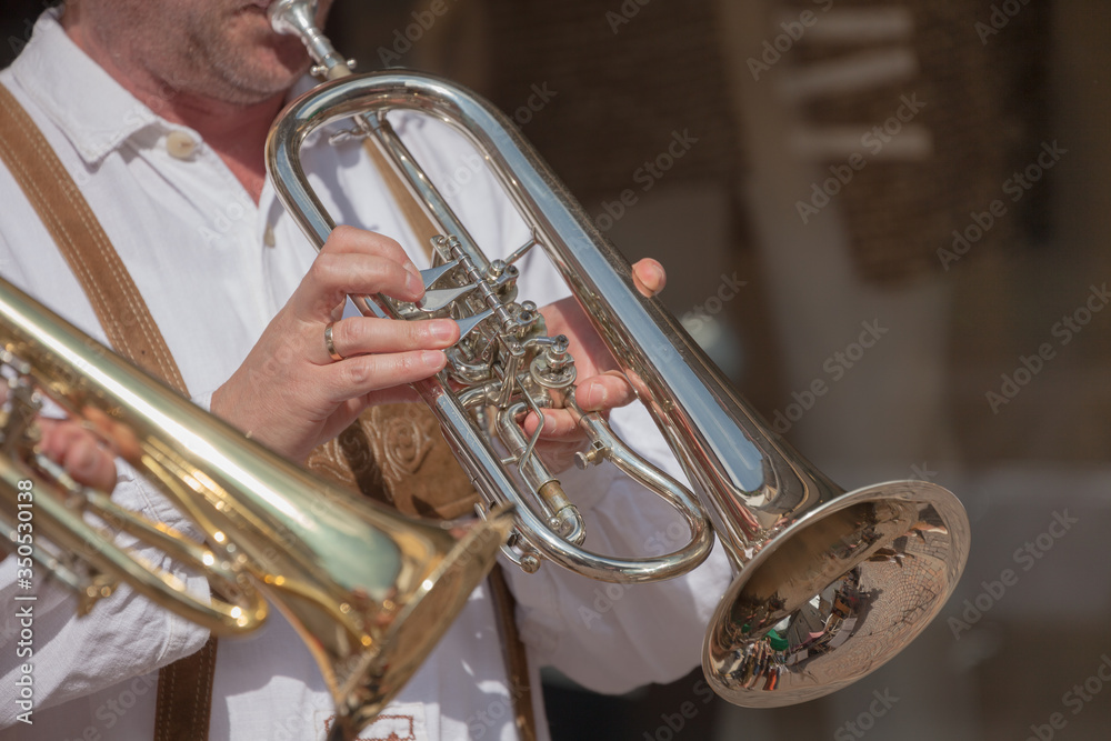 Obraz premium Musician in typical costume during an autumn local celebration in Val Isarco ( South Tyrol )