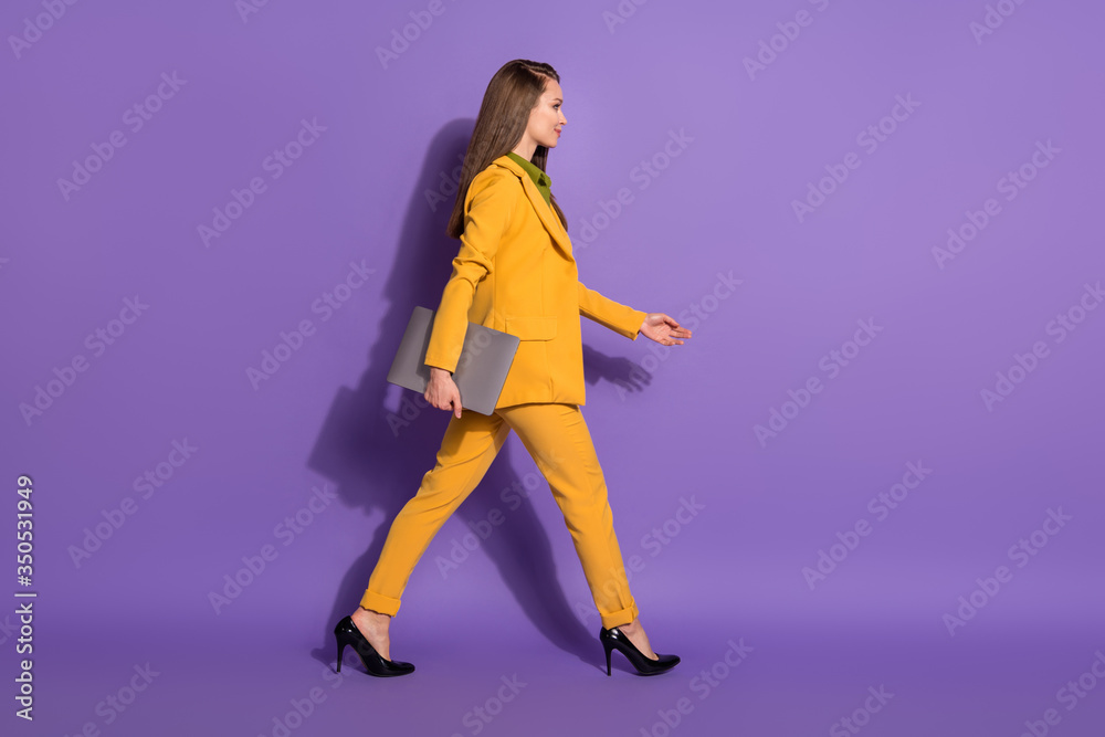 Full length profile side photo of confident boss lawyer girl hold laptop go walk copyspace conference wear trousers isolated over purple color background Full length profile side photo of confident boss lawyer girl hold laptop go walk copyspace conference wear trousers isolated over purple color background