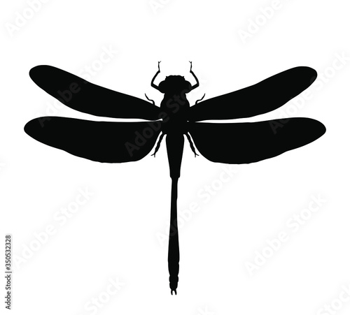 Dragonfly vector silhouette illustration isolated on white background. Insect animal symbol. 