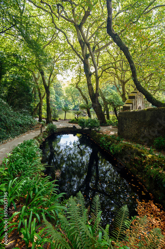 Scenic view of trees  plants and reflections on a small pond in a lush and verdant forest at the Pena Park in Sintra  Portugal.