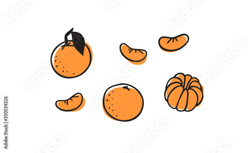 Doodle Hand drawn stylish fruit and vegetable. Vector artistic drawing fresh organic food. Summer illustration vegan ingrediens for smoothies