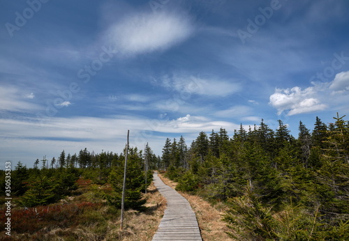 Wooden walkway on mountain ridge with small trees