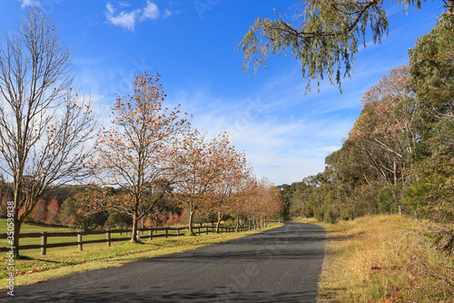 road in the park