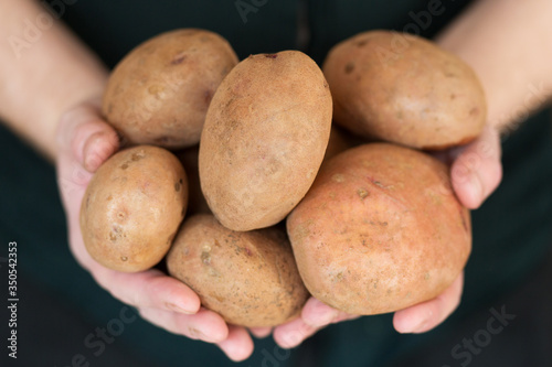 Unrecognizable person holding potatoes in hands. Stack of raw vegetables isolated on black background. Studio shot. Front view. Agriculture and cooking at home concept