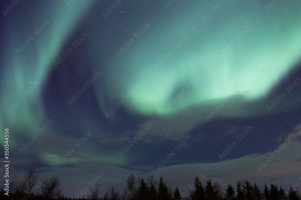 Fototapeta premium Northern Lights