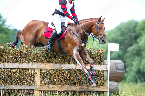 Eventing: equestrian rider jumping over an a brance fence obstacle photo