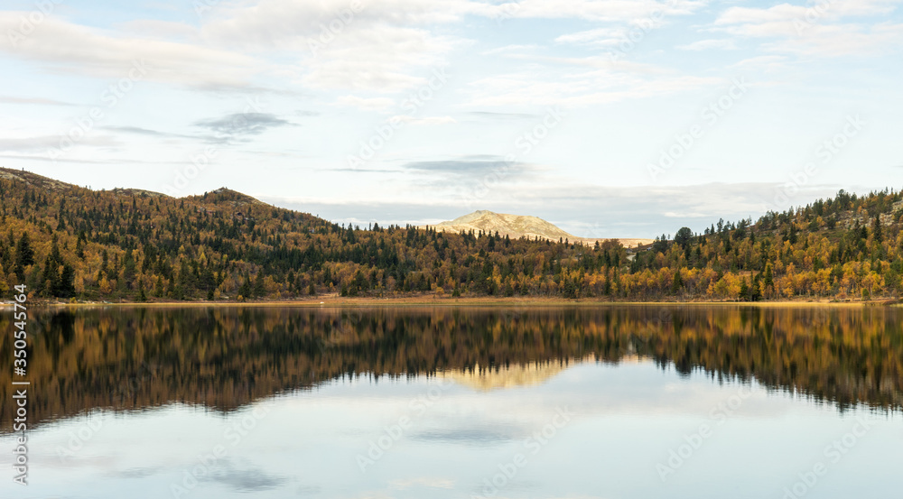 Beautiful and calm autumn colored landscape scenery early morning in Norway, forest reflects in the lake.