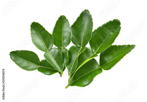 Top view of Kaffir lime leaf isolated on white background
