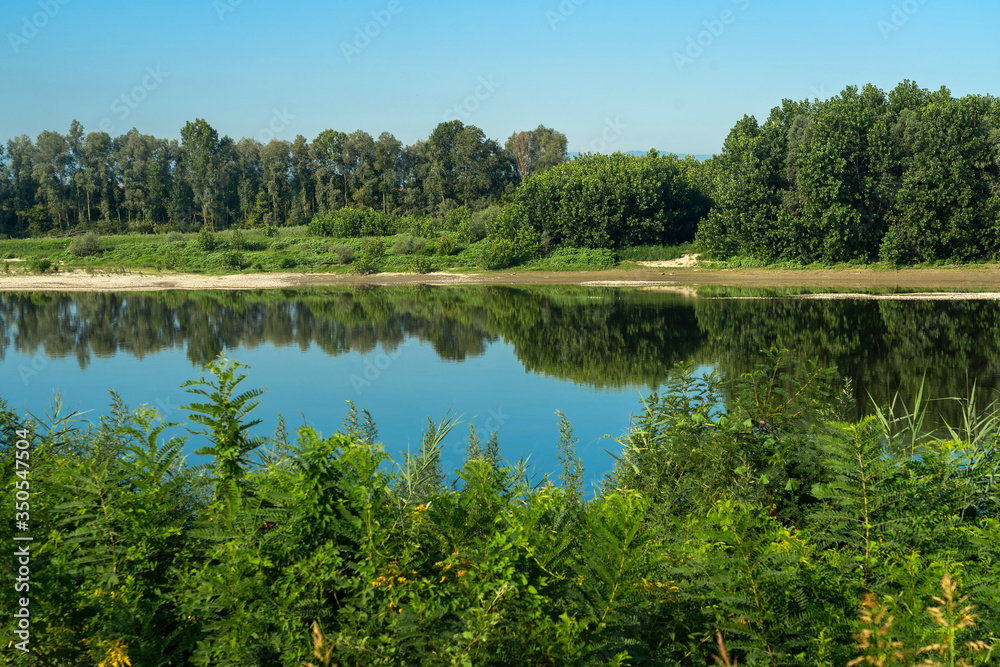 Summer landscape along the cycle path of the Po river, italy