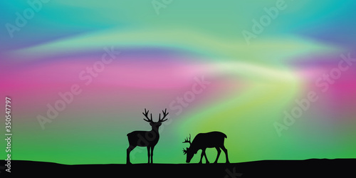 wildlife deer couple with aurora borealis polar lights background vector illustration EPS10