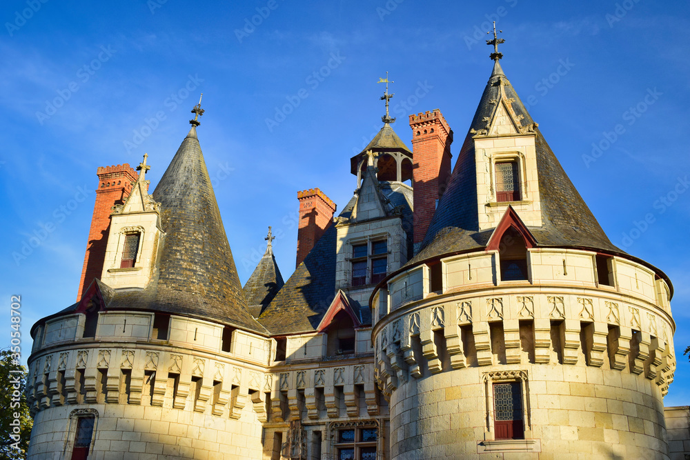 Detalle tejados torres del Chateau de Dissay
