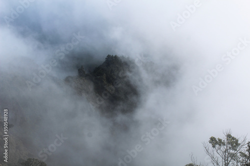 Fog in the mountain forest