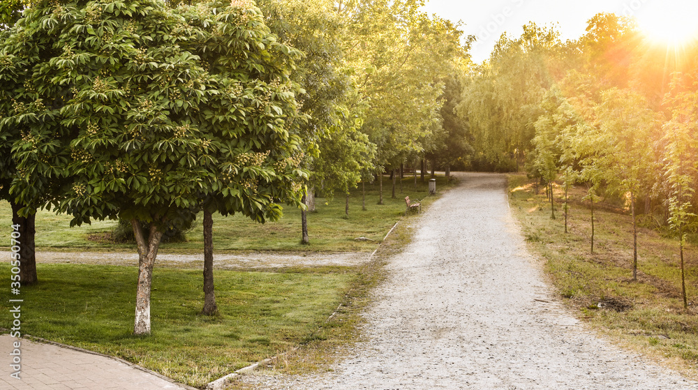 Naklejka premium camino a la felicidad