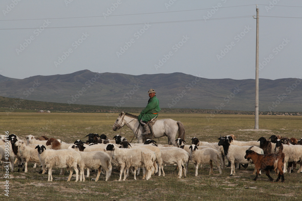 Mongolian man: shepherd on horse in national folk clothing. Herd of ...