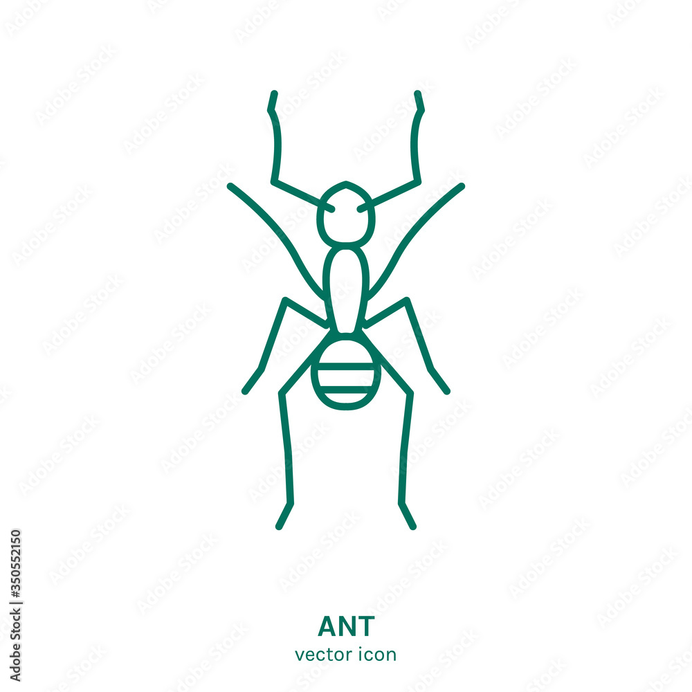 Vector Insect Icon Vector Insect Icon