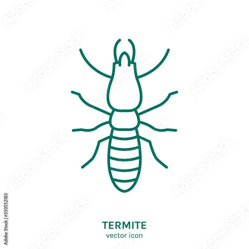 Vector Insect Icon