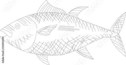 fish, logo, vector, icon, restaurant, illustration, sea