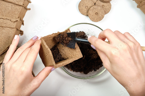 Tools, seeds, peat pots and pressed ground for seedlings. Copyspace for text, top view. Growing food on windowsill. Flatlay on white wooden background