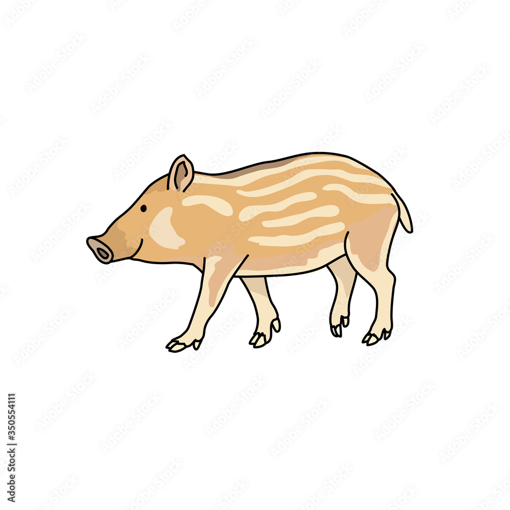 イノシシ(子供) イノシシ(子供)