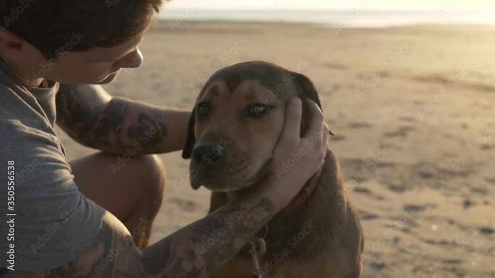 Close shot of a man kissing and petting his dog in slow motion on the beach. Close shot of a man kissing and petting his dog in slow motion on the beach.