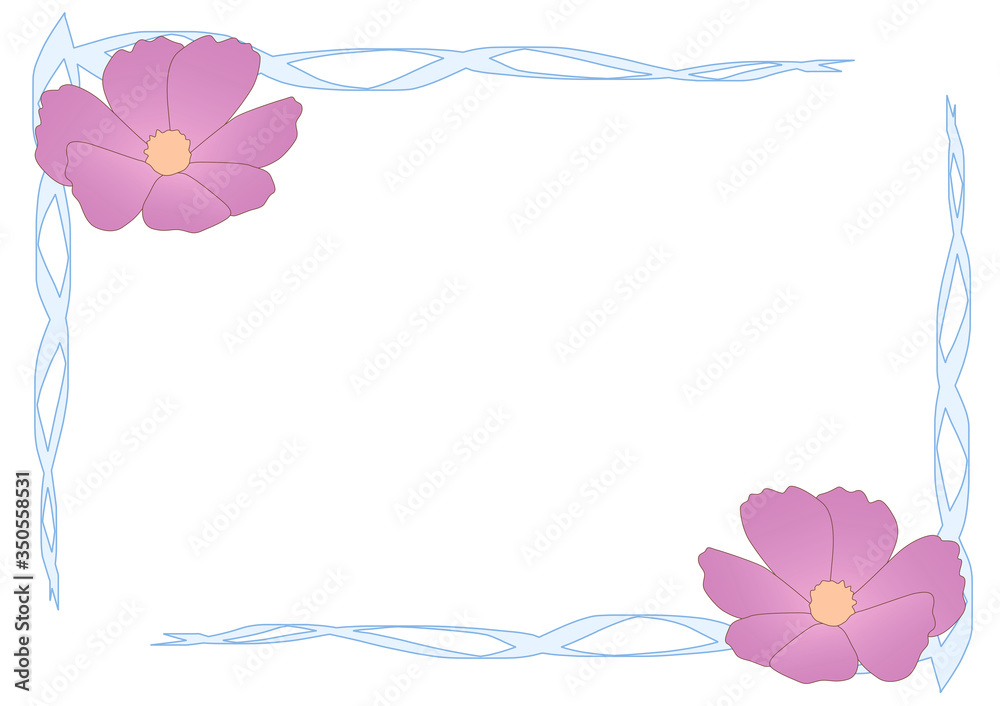 Fototapeta premium コスモス