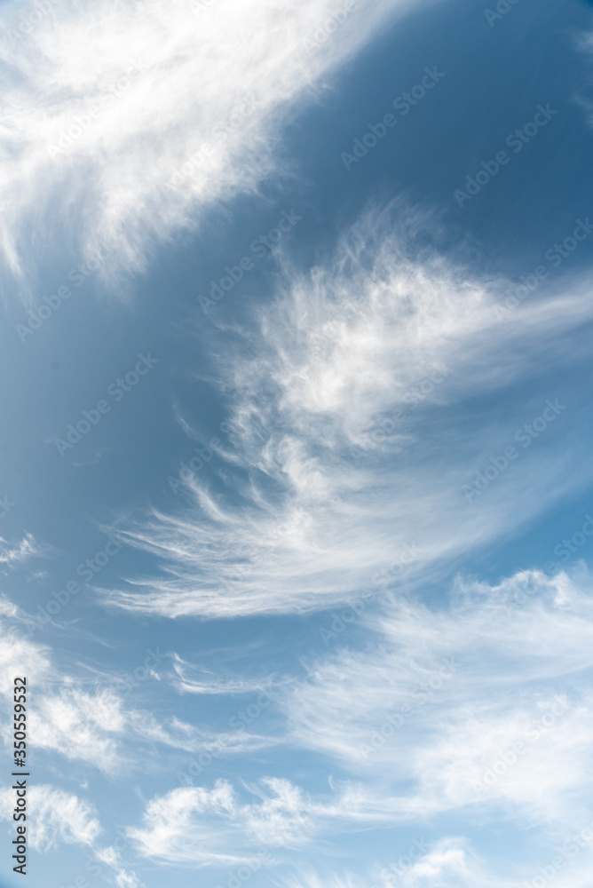 landscape of stretched feathered white light clouds on the bright blue sky background. Potential photo for making brushes and backgrounds. landscape of stretched feathered white light clouds on the bright blue sky background. Potential photo for making brushes and backgrounds.