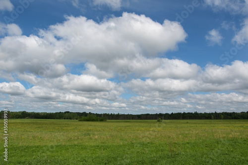 Rural landscape. A field in Seliger Lake Region. Tver Oblast, Russia.