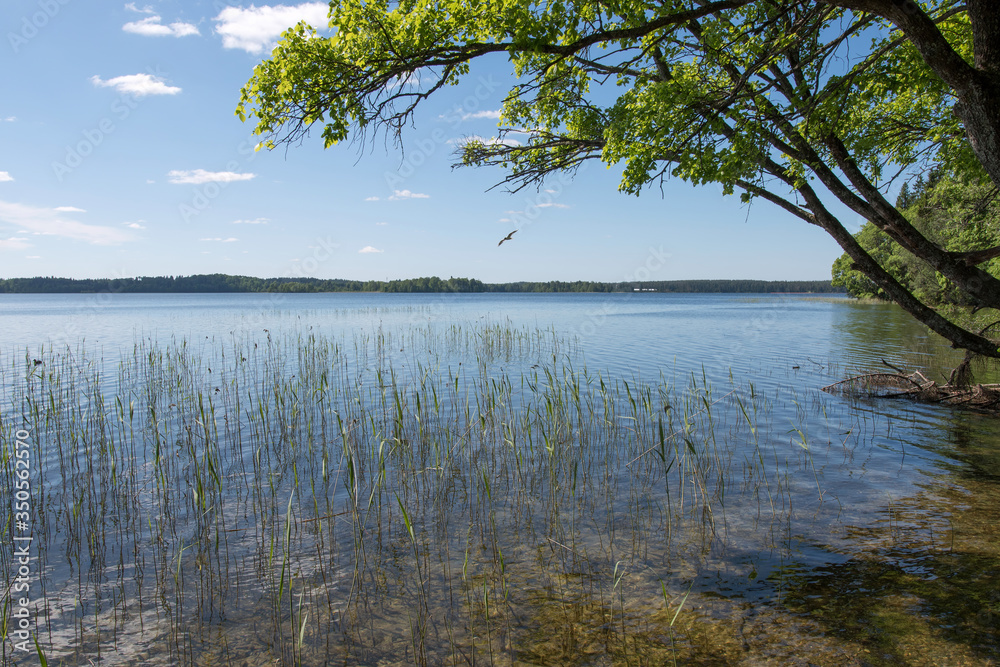 Lake Valdayskoye, Novgorod Oblast, Russia.