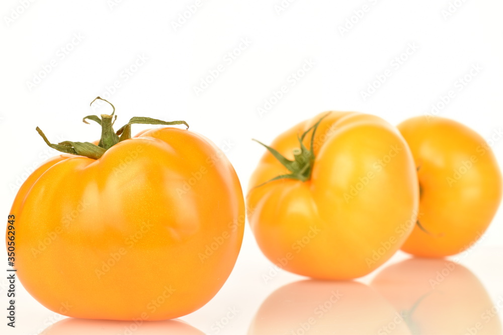 Fresh juicy organic yellow tomatoes, close-up, on a white background. Fresh juicy organic yellow tomatoes, close-up, on a white background.