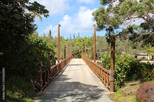 Paysage tropical de bord de plage