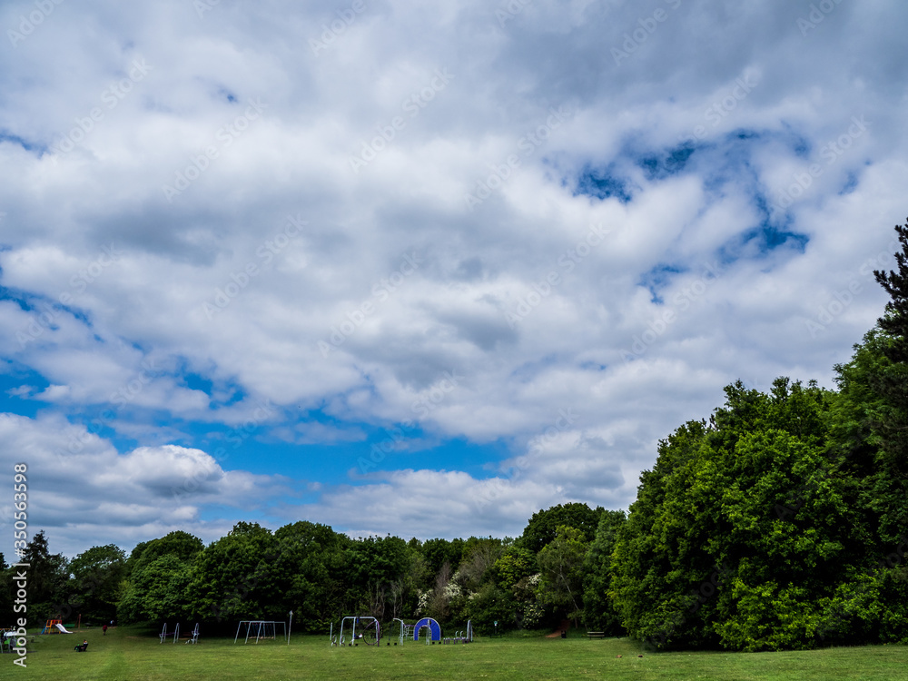 PARK TREES IN THE SUN WITH CLOUDS