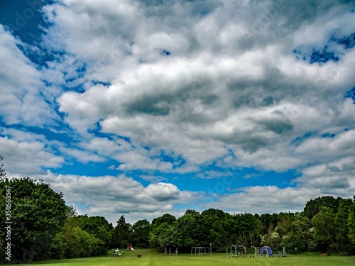 PARK TREES IN THE SUN WITH CLOUDS