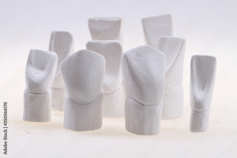 teeth gypsum models isolated teeth gypsum models isolated