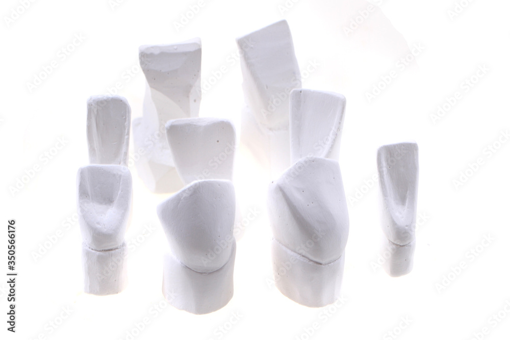 teeth gypsum models isolated teeth gypsum models isolated