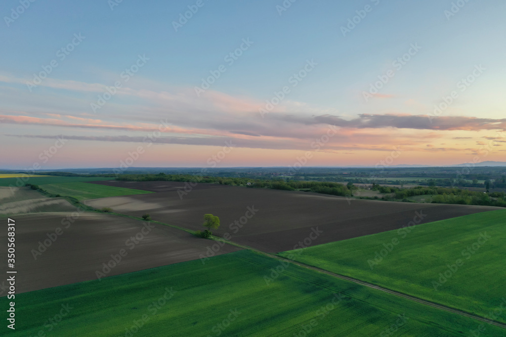 Wheat, barley field and arable land. trees and bushes next to the dirt road. The sun colors the clouds. Drone landscape from above. Europe Hungary
