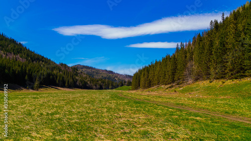 Wielka Polana Małołącka w Dolinie Małej Łąki w Tatrach Zachodnich -  wiosną.

