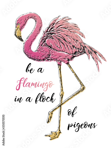 The calligraphic quote "Be a flamingo in a flock of pigeons " with pink flamingo. Vector illustration