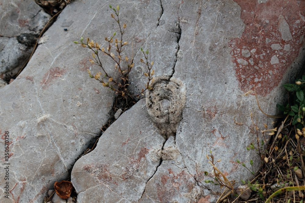 Obraz premium Rocks on a mountain