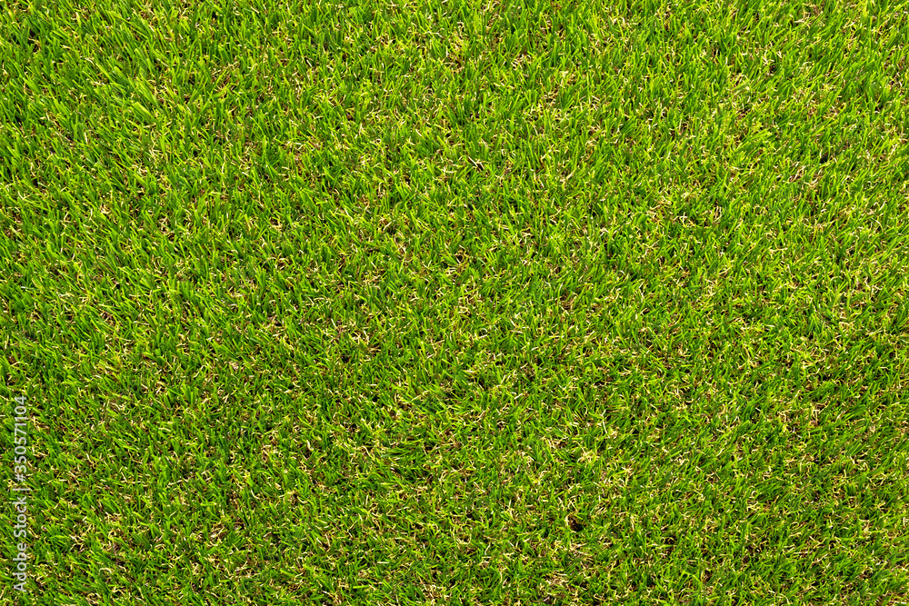 Obraz premium Top view of green grass field.